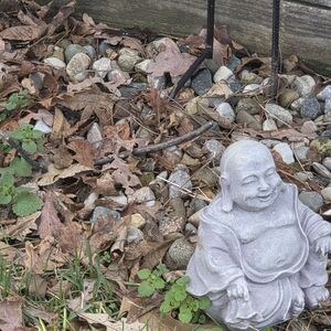 Endings Tarot Reading By Email